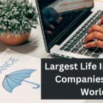 Largest Life Insurance Companies in the World